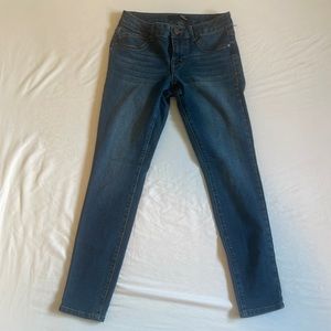 1822 Women’s Blue Petite Skinny Jeans Size 25